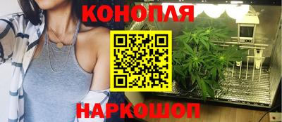 СК Аргун