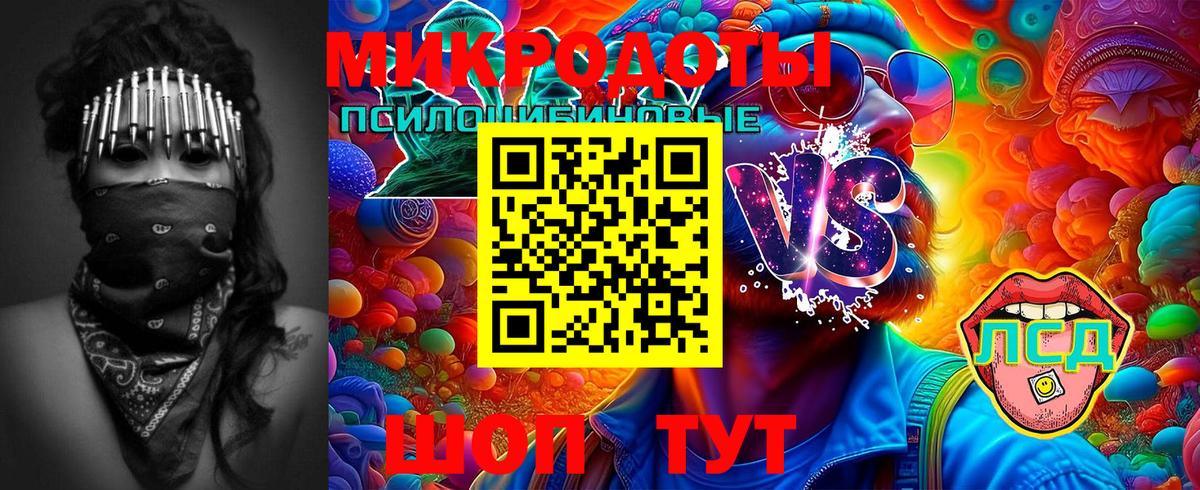 Галлюциногенные грибы MAGIC MUSHROOMS  Ачхой-Мартан  Псилоцибиновые грибы GOLDEN TEACHER 