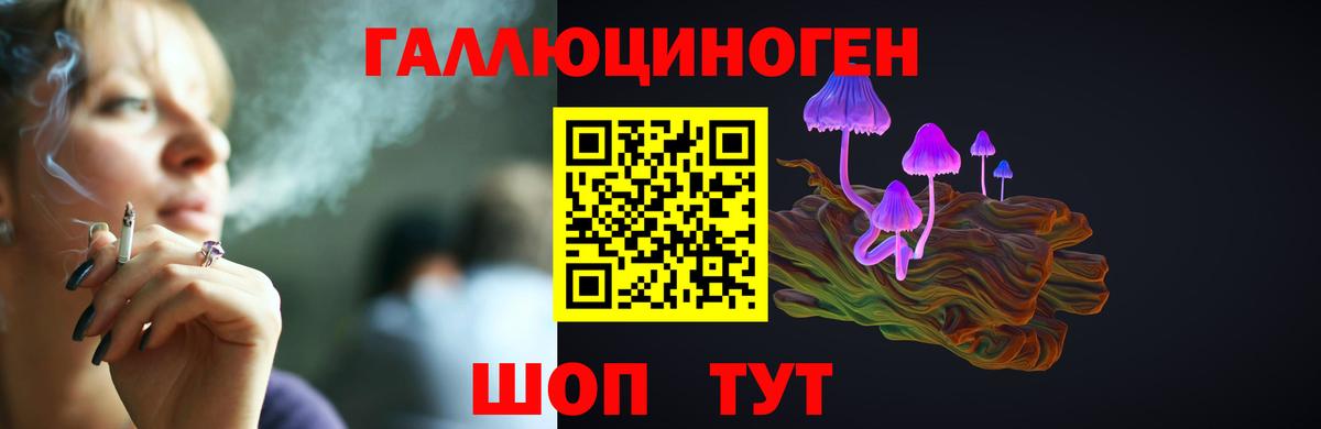 Ачхой-Мартан  Галлюциногенные грибы Magic Shrooms  Вход с VPN 